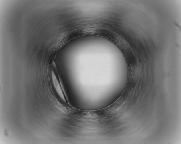 X0000097770601200803211738