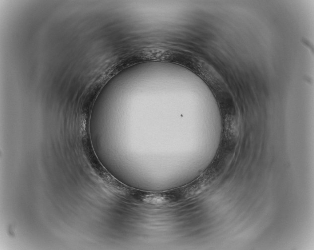 X0000097770602200803211738