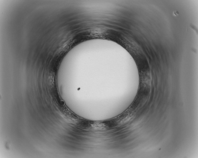 X0000097770603200803211738