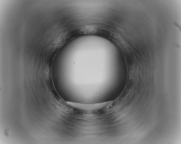 X0000097770604200803211738