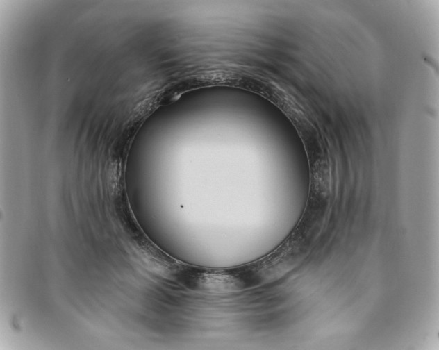 X0000097770605200803211738