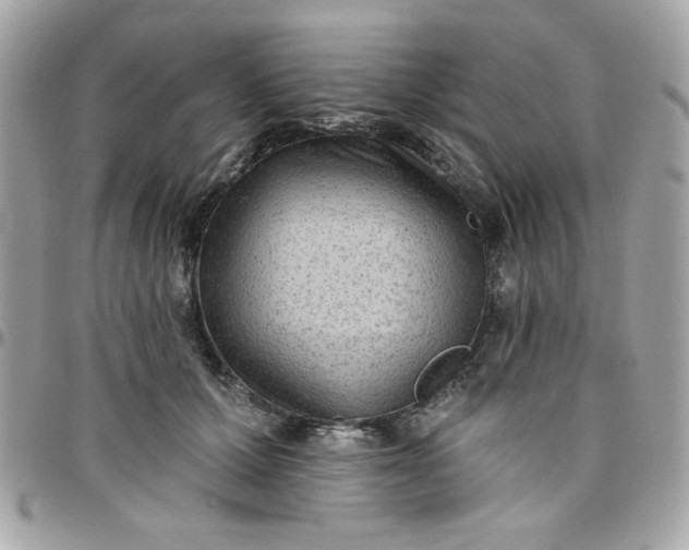 X0000097770607200803211738