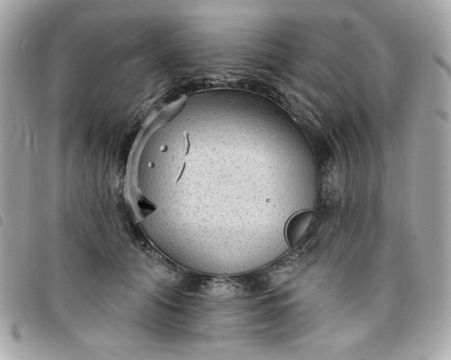 X0000097770608200803211738