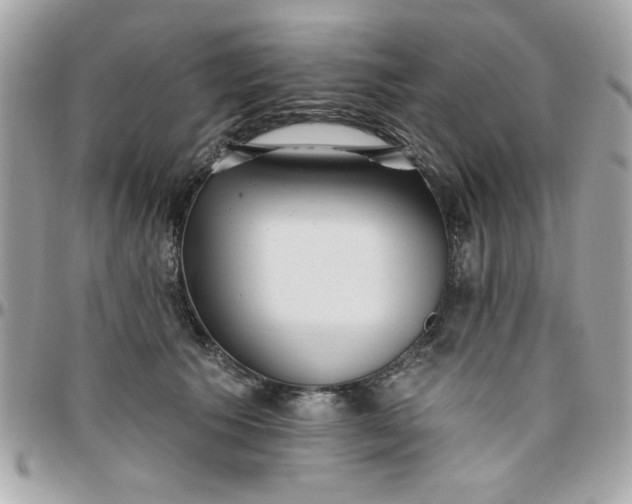 X0000097770609200803211738