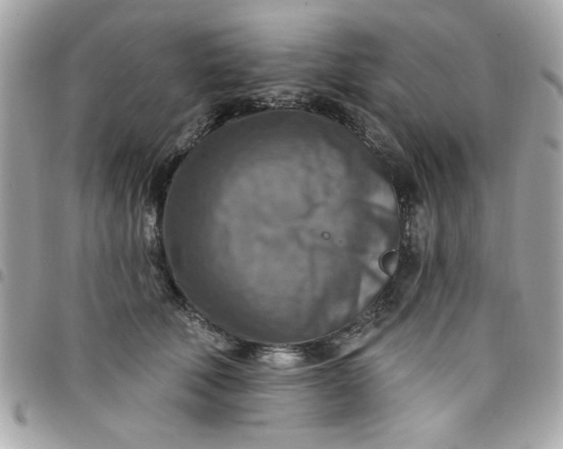 X0000097770610200803211738