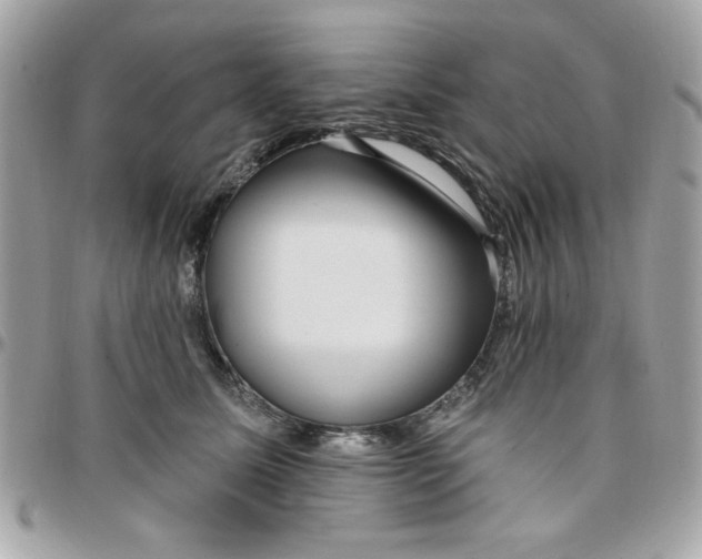 X0000097770611200803211738