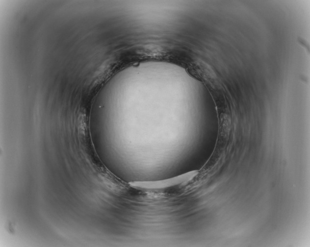 X0000097770612200803211738