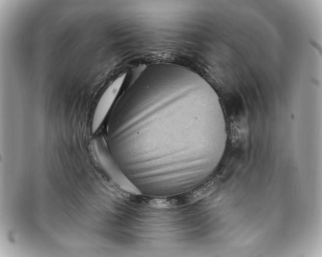 X0000097770613200803211738