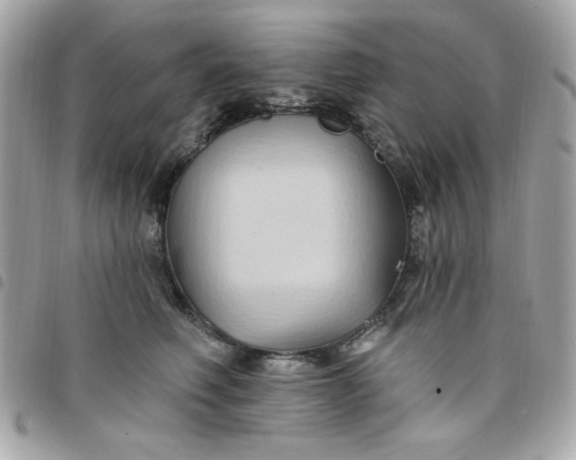 X0000097770614200803211738