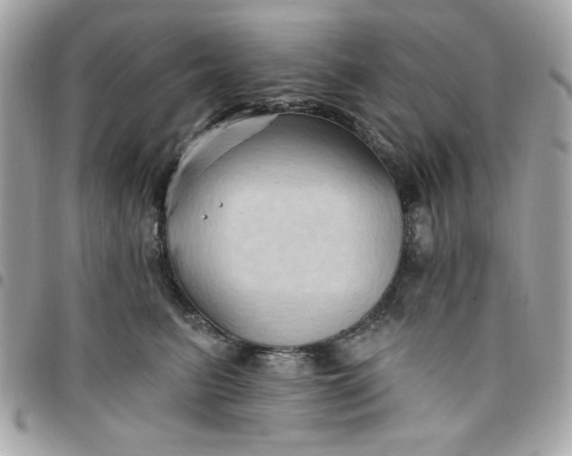 X0000097770615200803211738