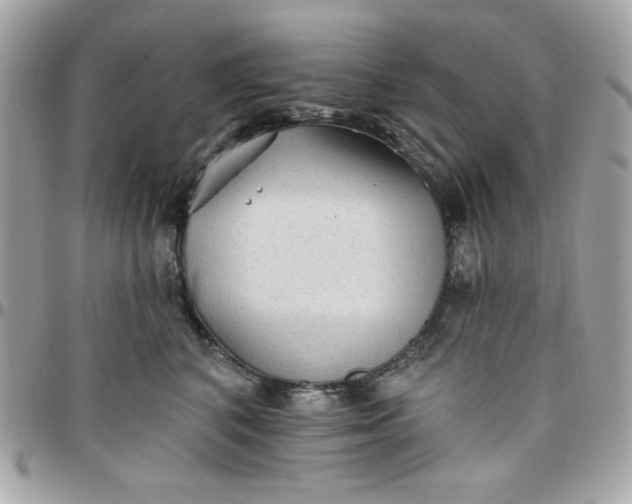 X0000097770616200803211738