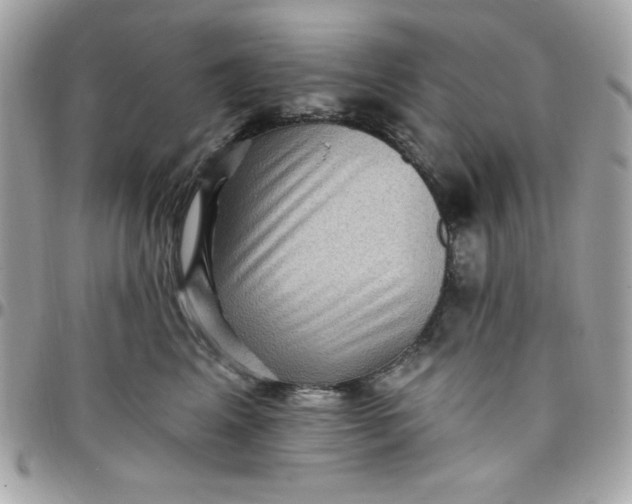 X0000097770617200803211738