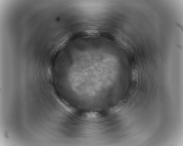 X0000097770618200803211738