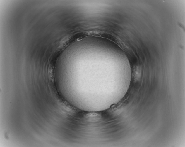 X0000097770619200803211738