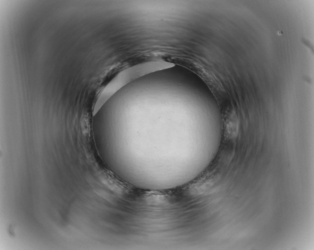 X0000097770620200803211738