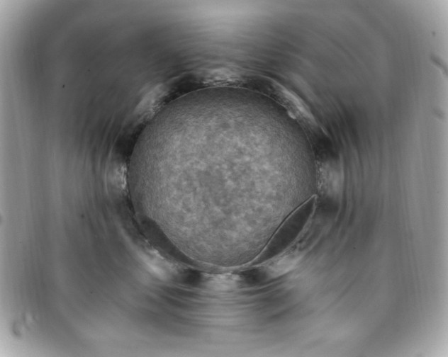 X0000097770621200803211738