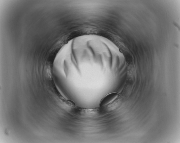 X0000097770622200803211738