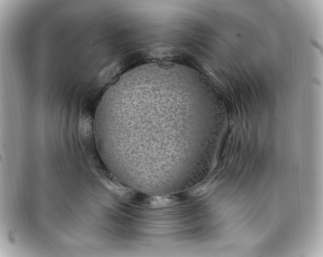 X0000097770623200803211738