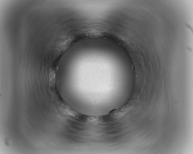 X0000097770624200803211738