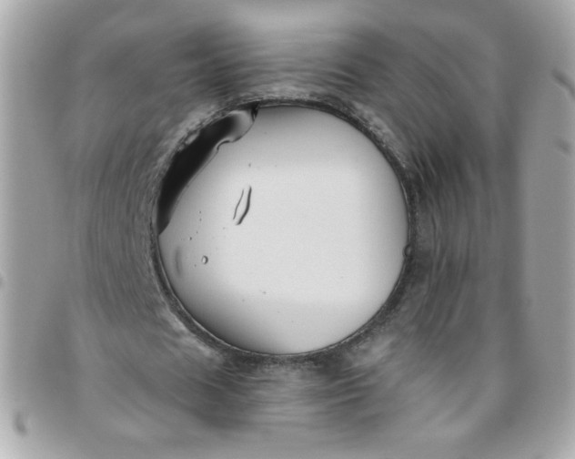 X0000097770625200803211737