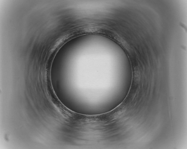 X0000097770626200803211737