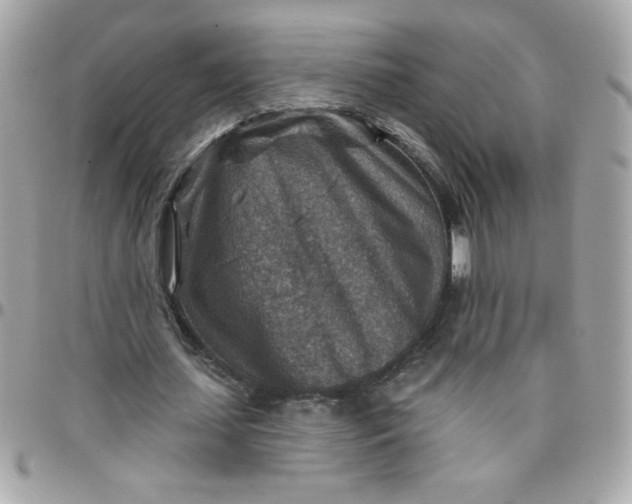 X0000097770627200803211737