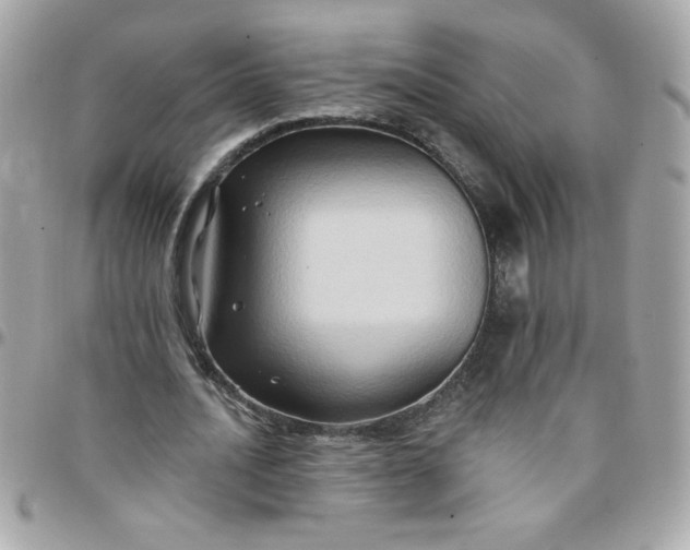 X0000097770628200803211737