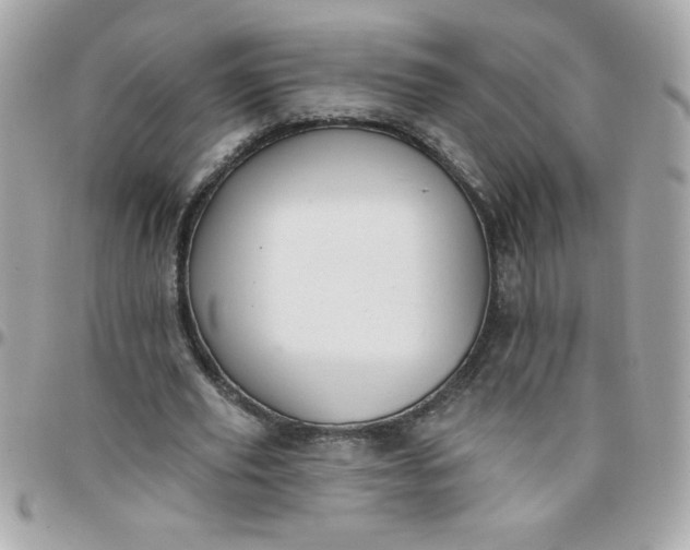 X0000097770629200803211737