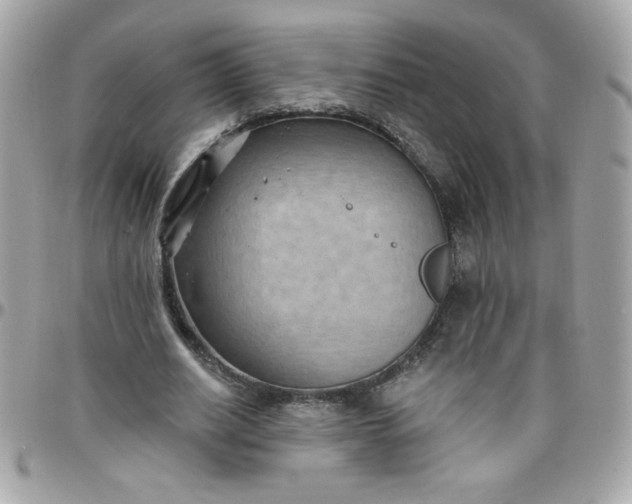 X0000097770630200803211737