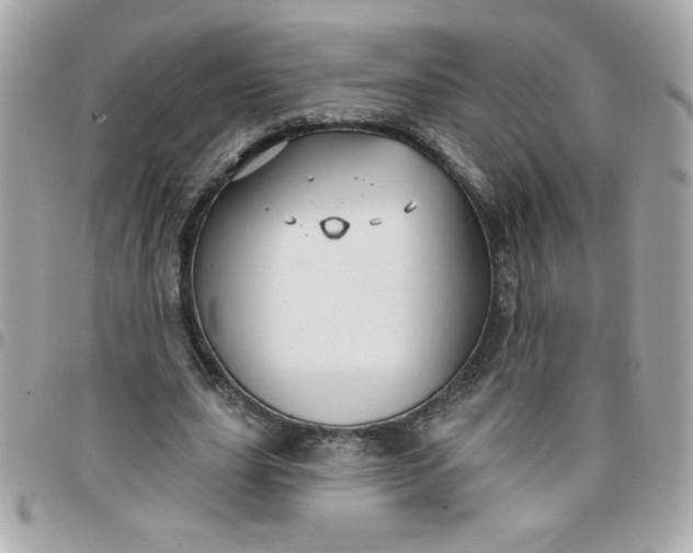 X0000097770631200803211737