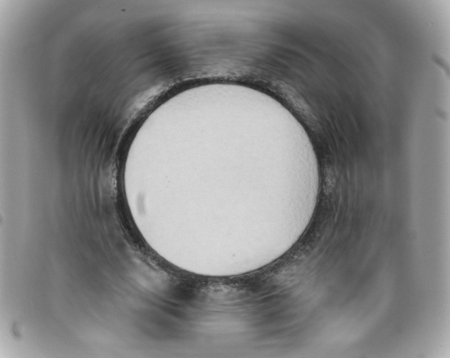 X0000097770632200803211737