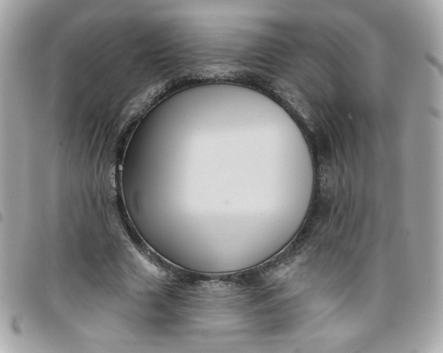 X0000097770633200803211737