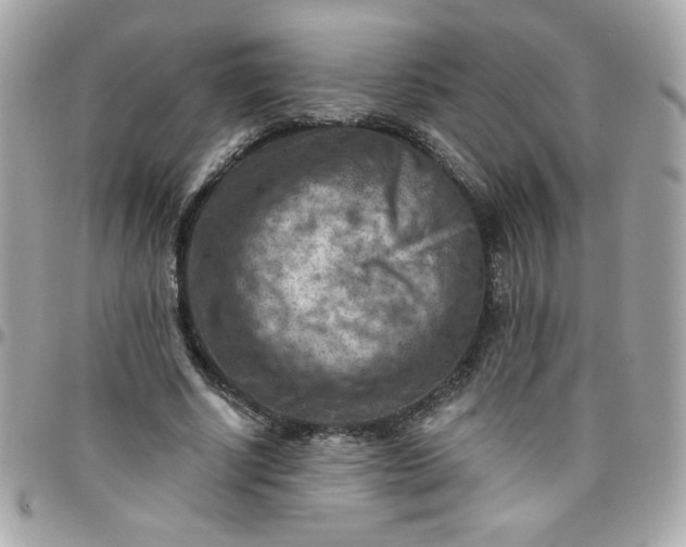 X0000097770634200803211737