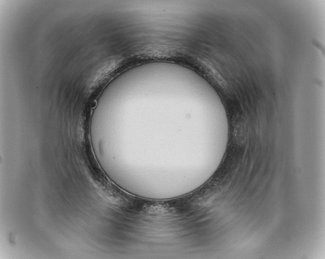 X0000097770635200803211737