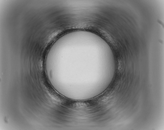 X0000097770636200803211737