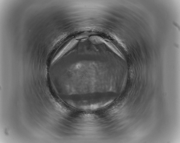 X0000097770637200803211737