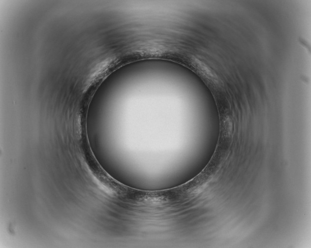 X0000097770638200803211737