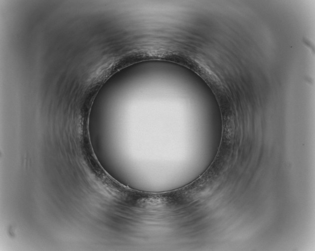 X0000097770639200803211737