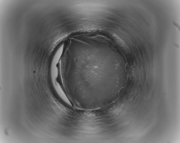 X0000097770640200803211737