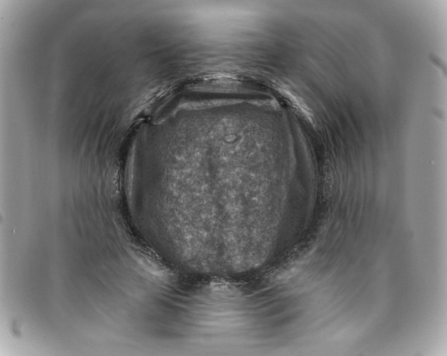 X0000097770641200803211737