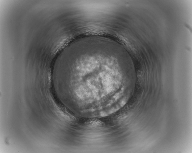 X0000097770642200803211737