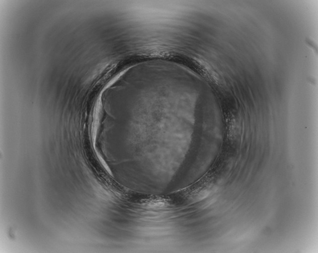 X0000097770643200803211737