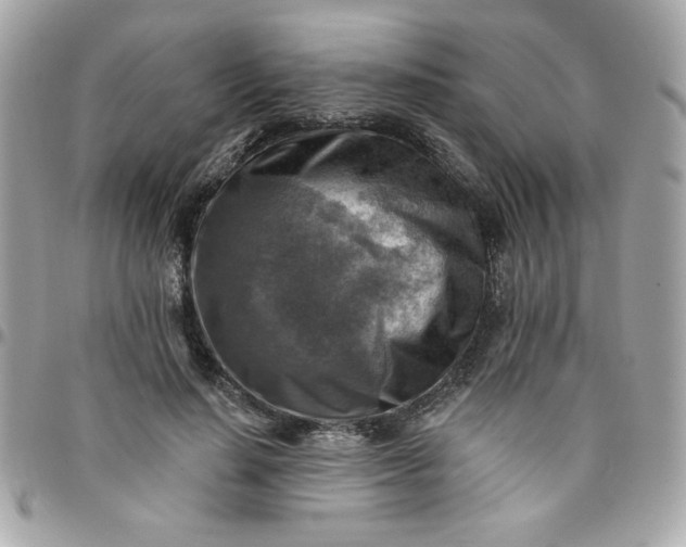 X0000097770644200803211737