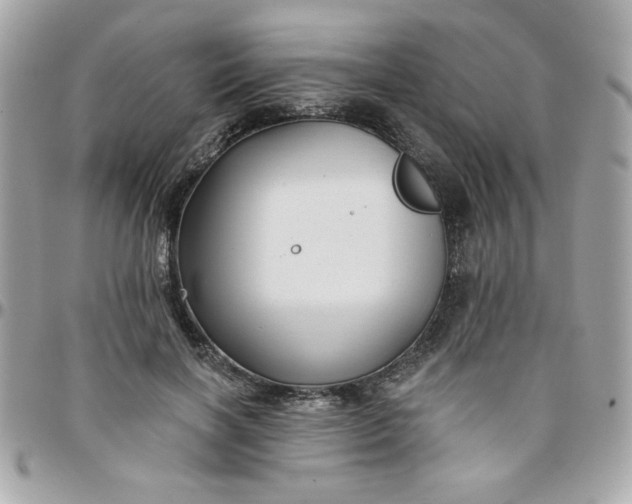 X0000097770646200803211737