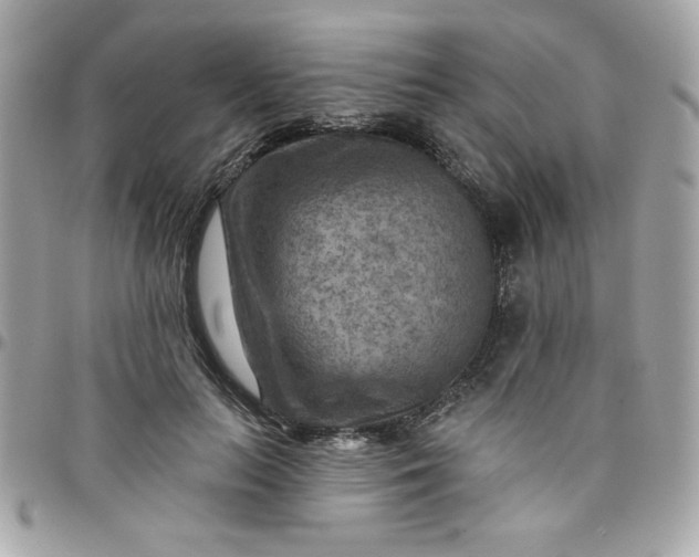 X0000097770647200803211737