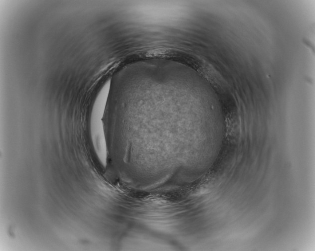 X0000097770648200803211737