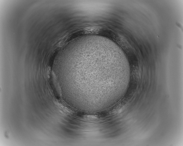 X0000097770649200803211737