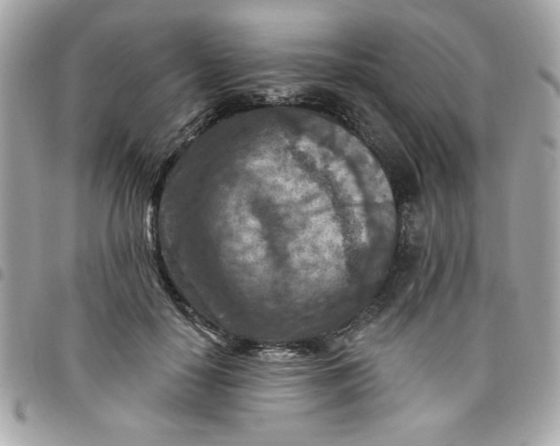 X0000097770650200803211737