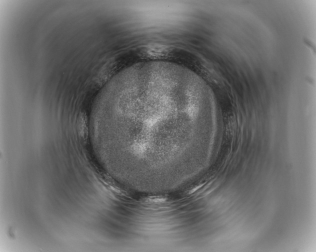 X0000097770651200803211737