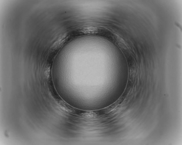 X0000097770652200803211737